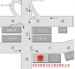 香港今晚开现场直播下载