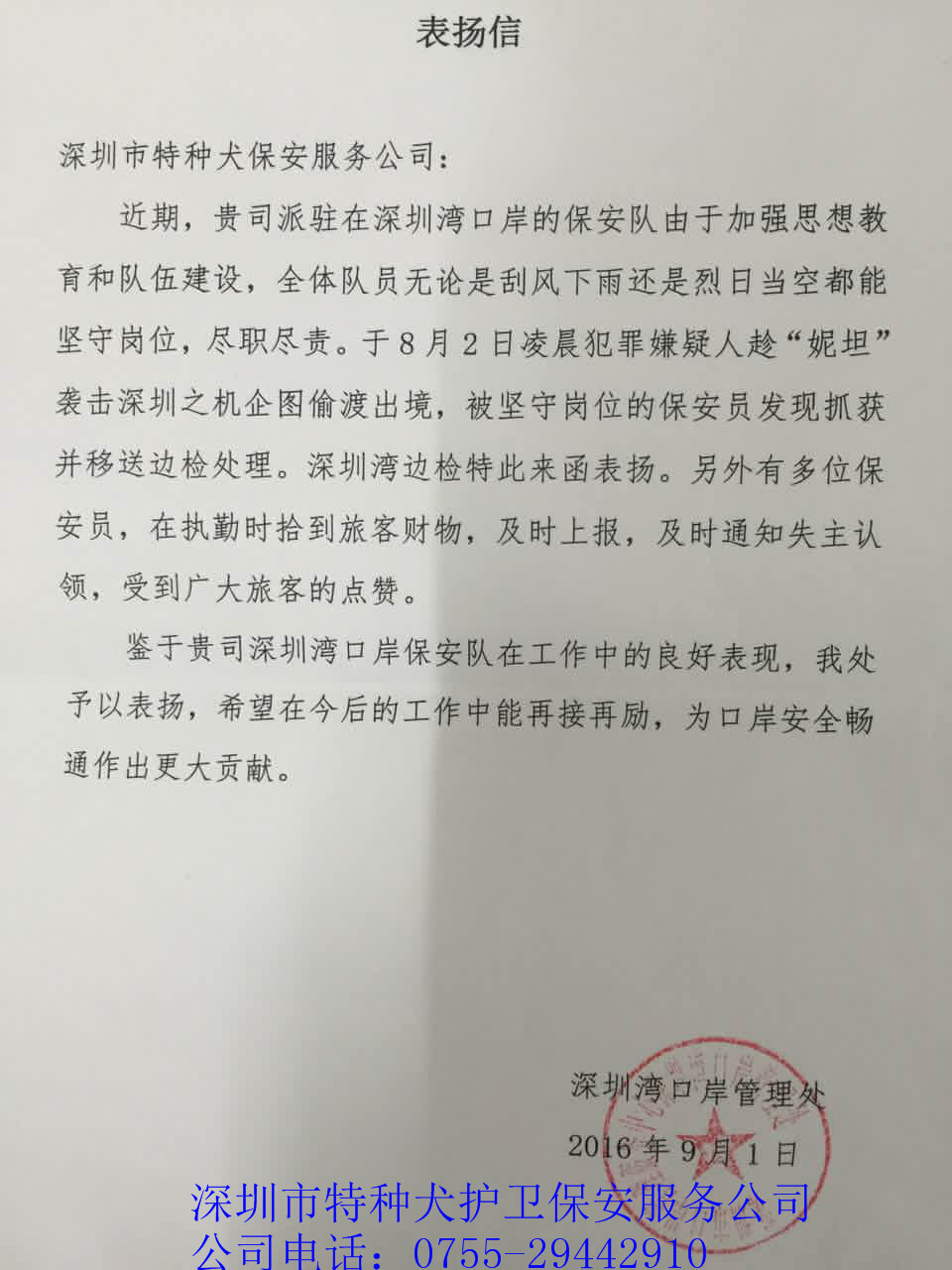 香港今晚开现场直播下载