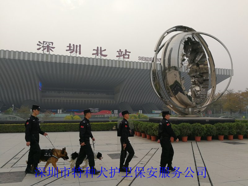 香港今晚开现场直播下载