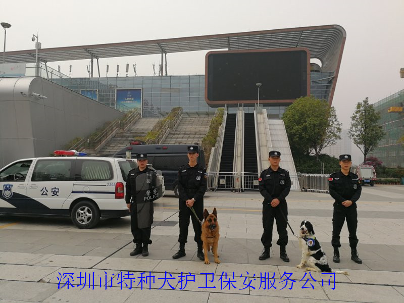 香港今晚开现场直播下载