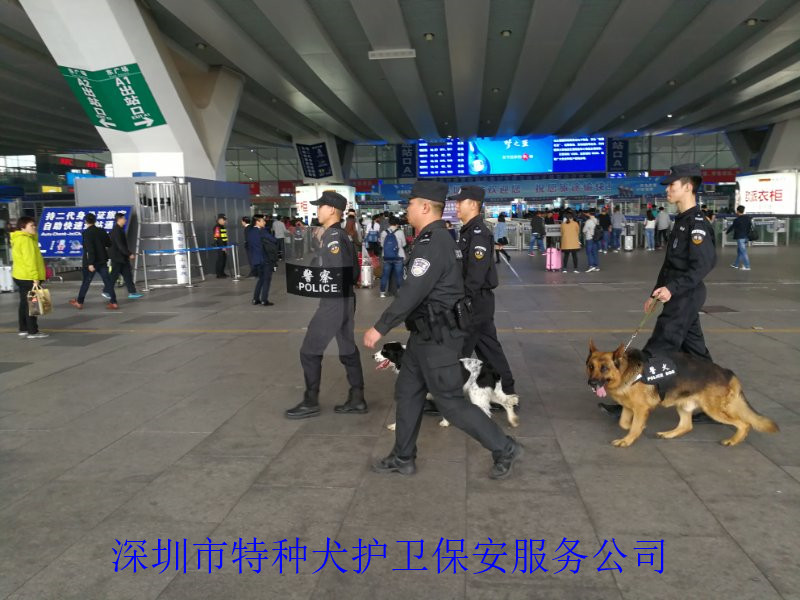 香港今晚开现场直播下载