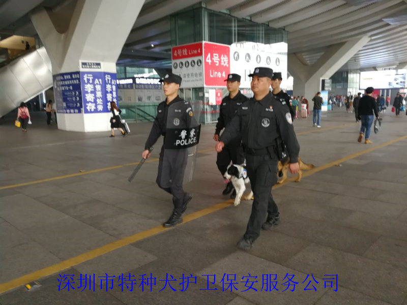 香港今晚开现场直播下载