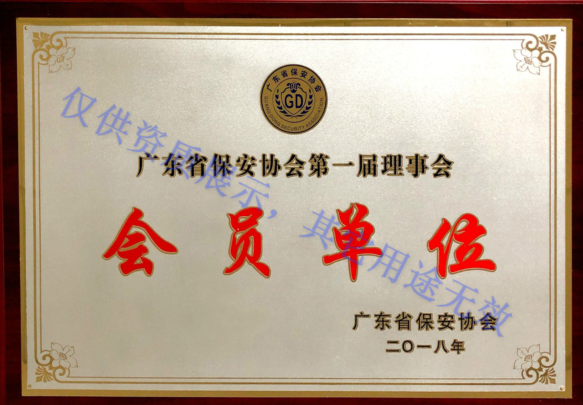 香港今晚开现场直播下载