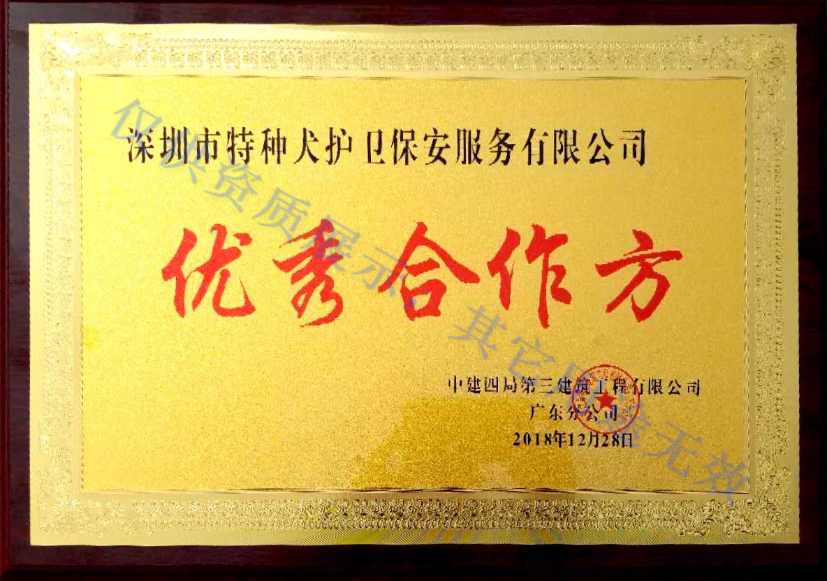 香港今晚开现场直播下载