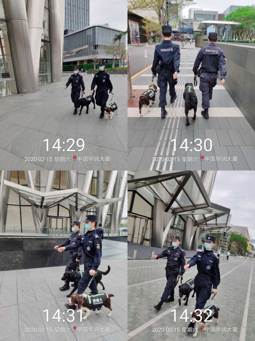 香港今晚开现场直播下载