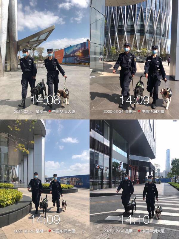 香港今晚开现场直播下载