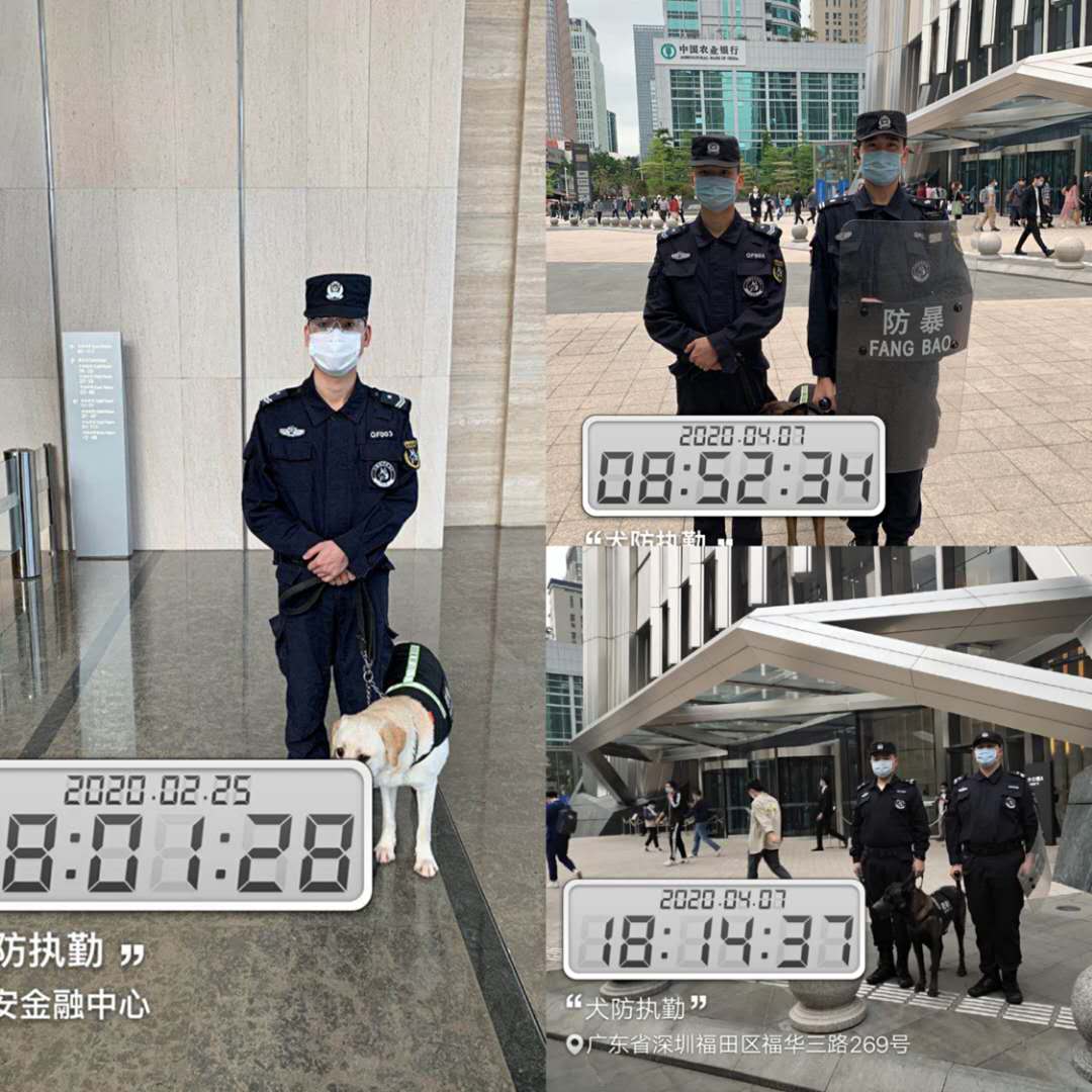 香港今晚开现场直播下载
