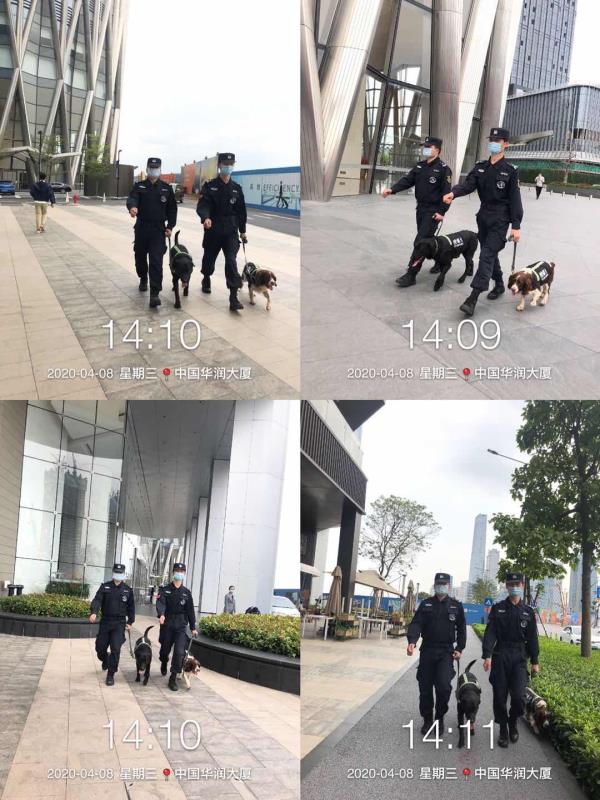 香港今晚开现场直播下载