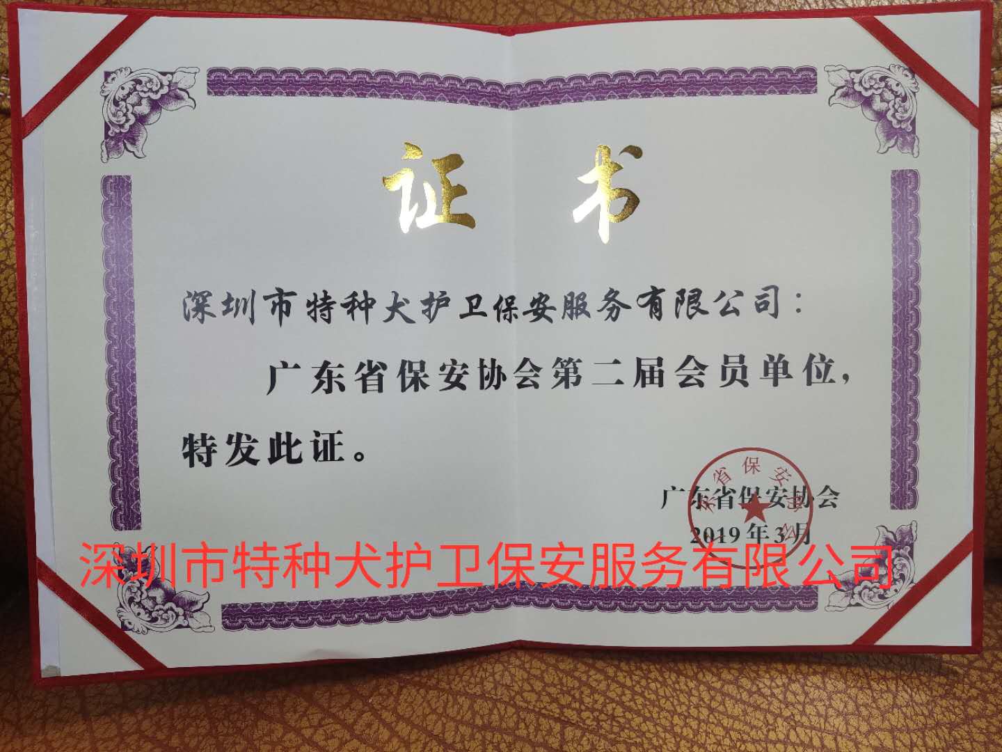 香港今晚开现场直播下载