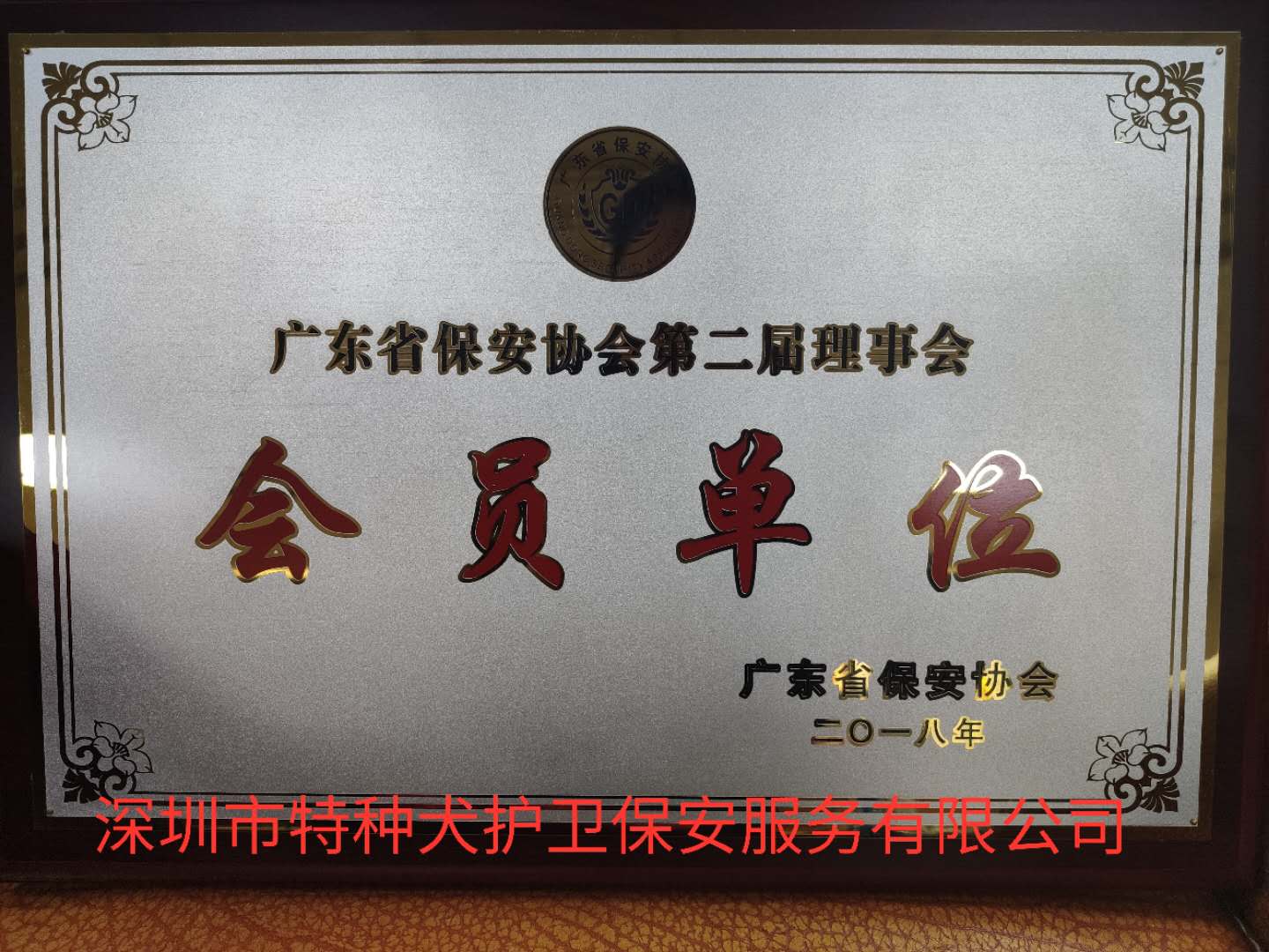 香港今晚开现场直播下载