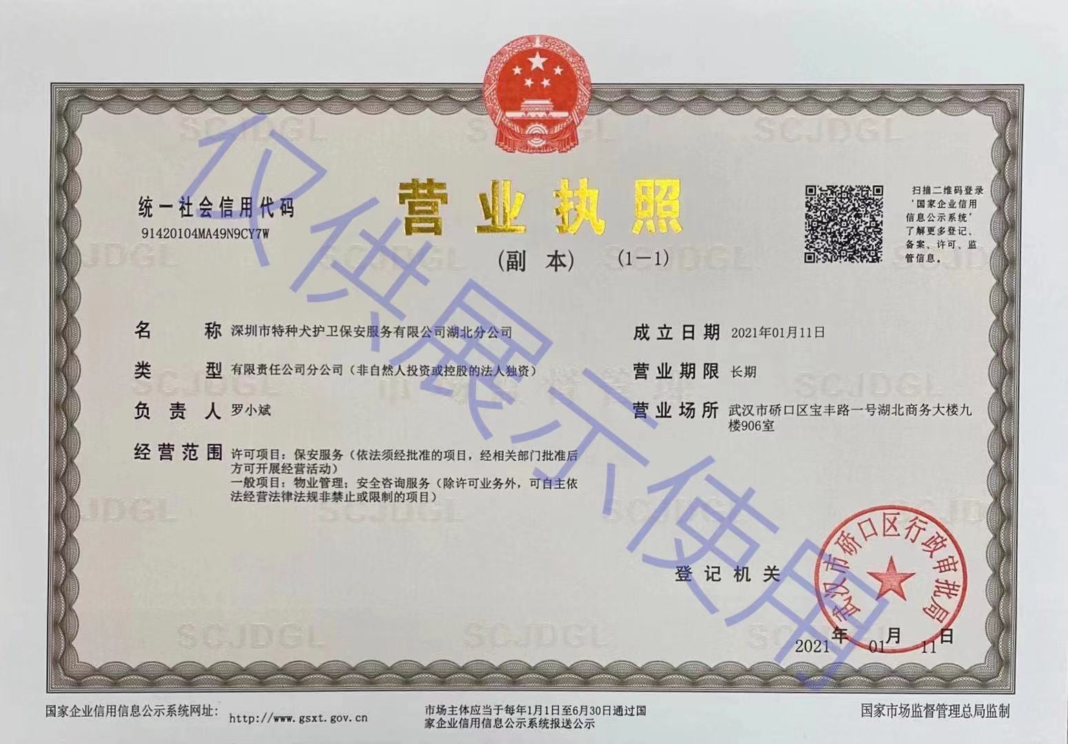香港今晚开现场直播下载