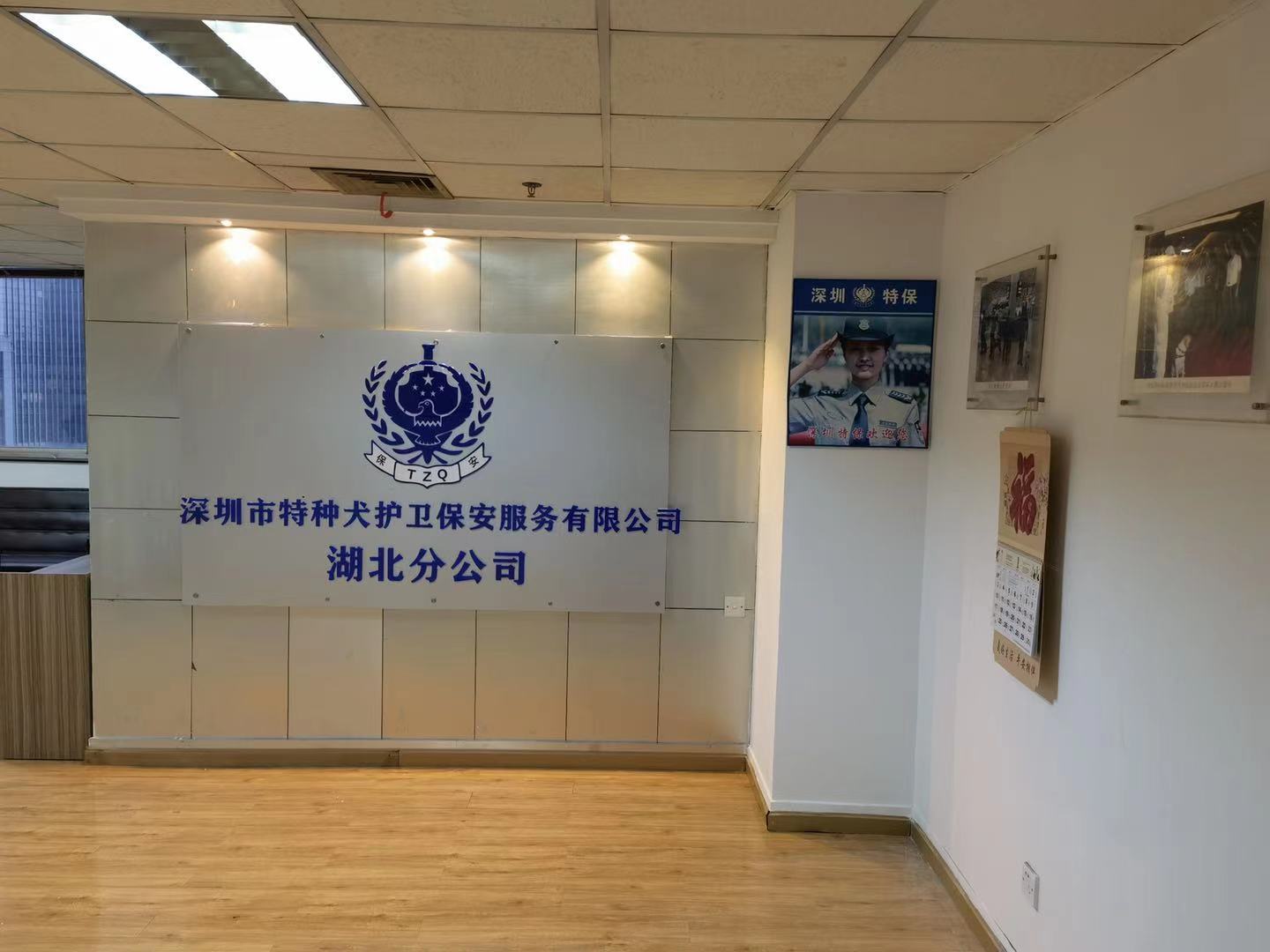 香港今晚开现场直播下载