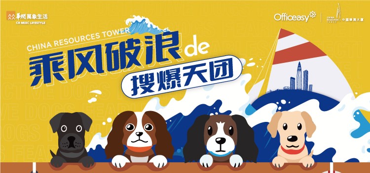 香港今晚开现场直播下载