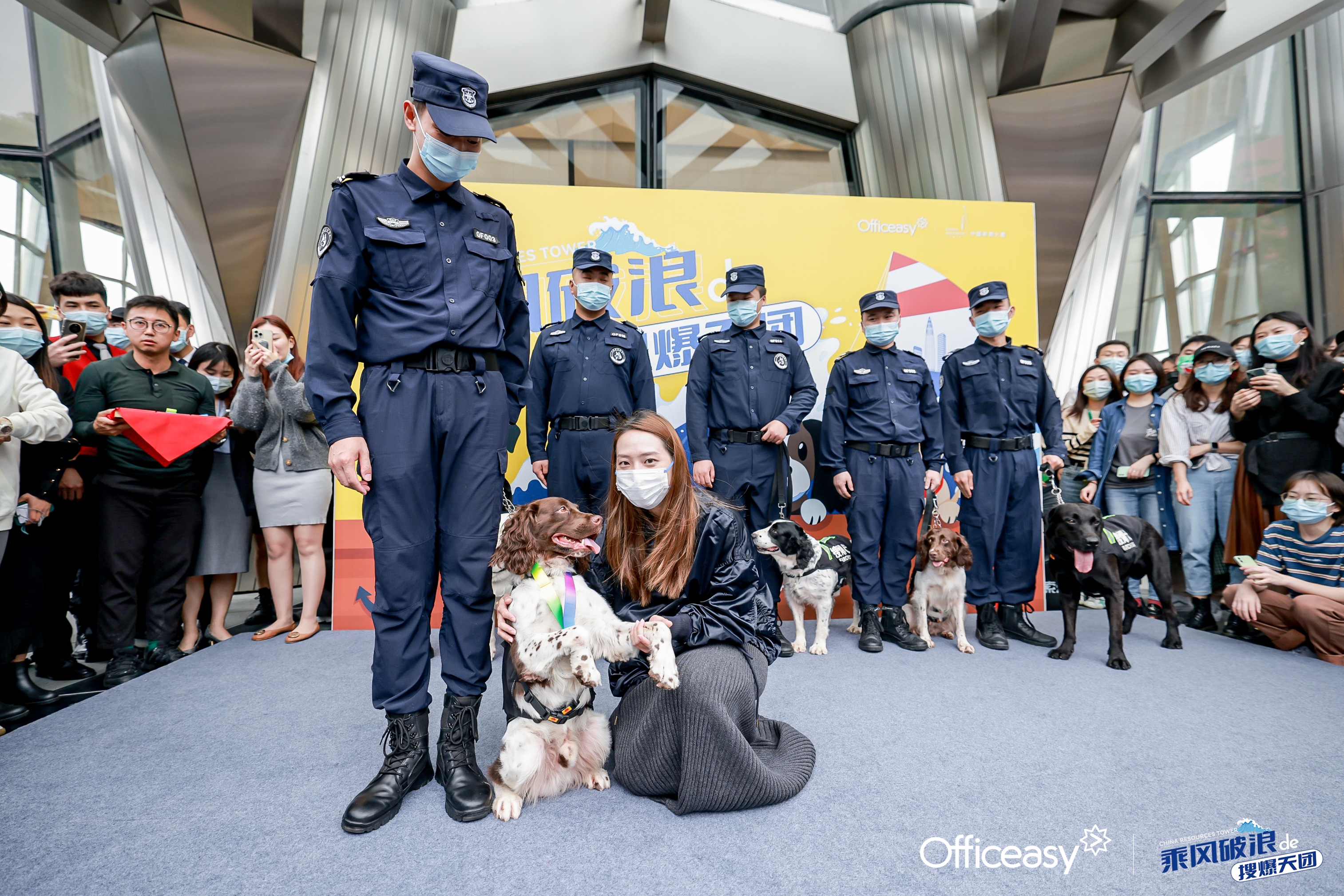 香港今晚开现场直播下载