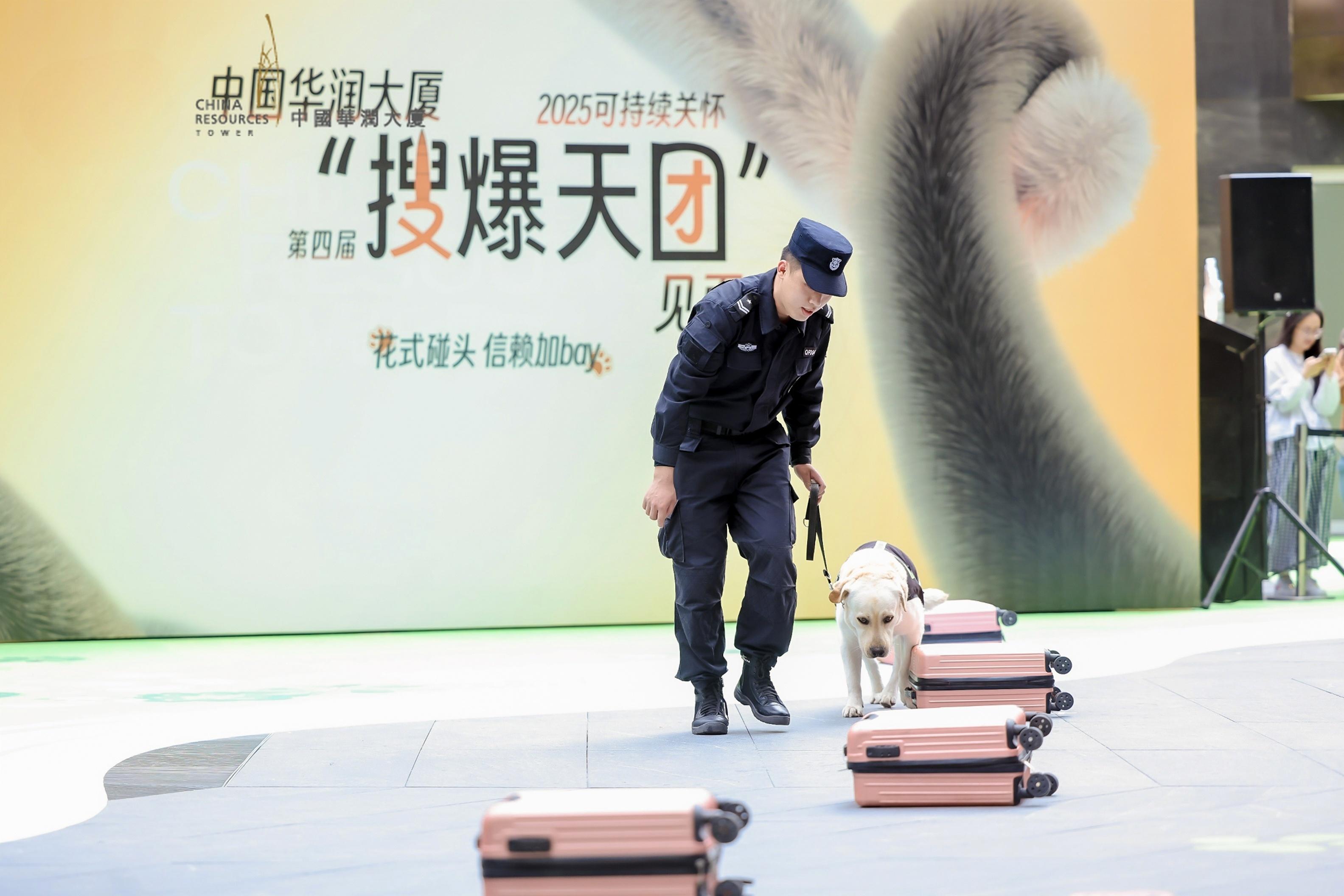 香港今晚开现场直播下载