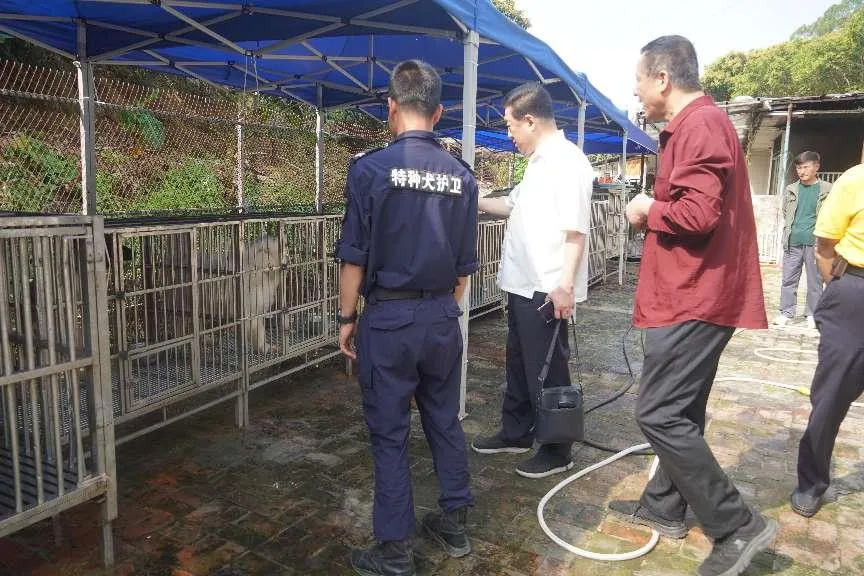 香港今晚开现场直播下载